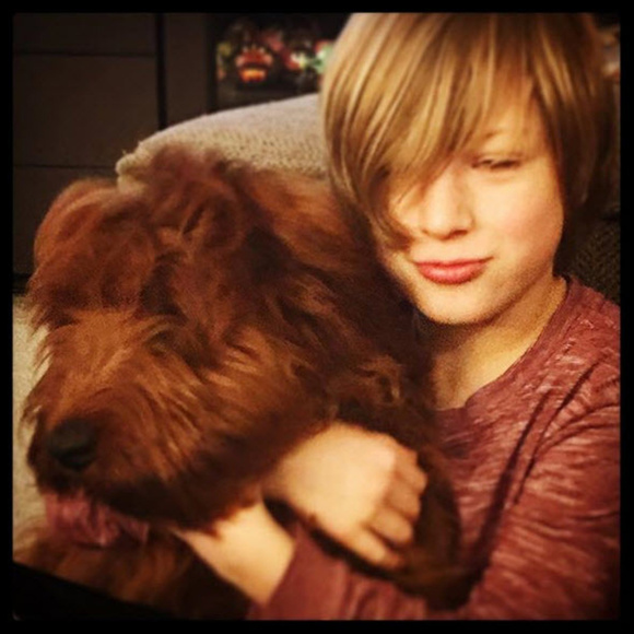 Meet your Posher, DAX - Picture 1 of 8